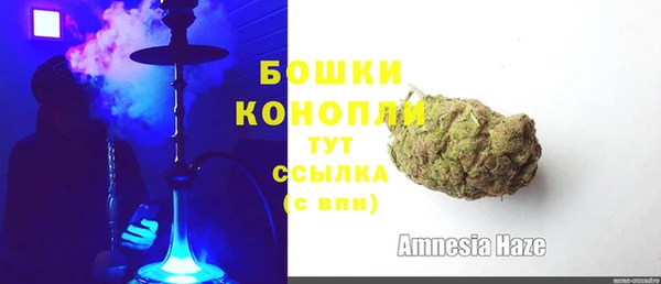 амф Арсеньев