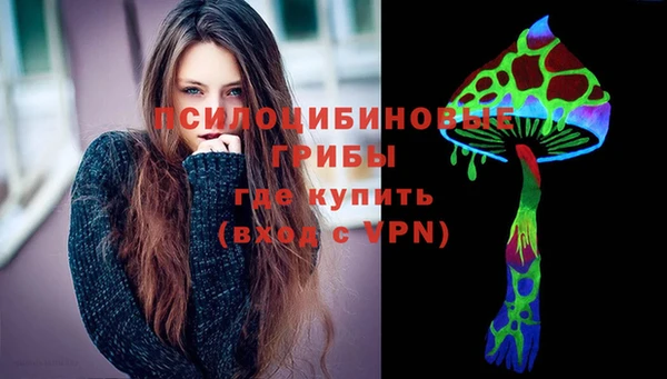 амф Арсеньев