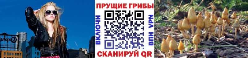 купить закладку  Фурманов  Галлюциногенные грибы мицелий 